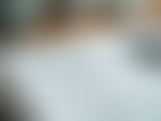 Understanding the Role of a Human Resources Business Partner and Evergreen Solutions' Approach to HR Collaboration