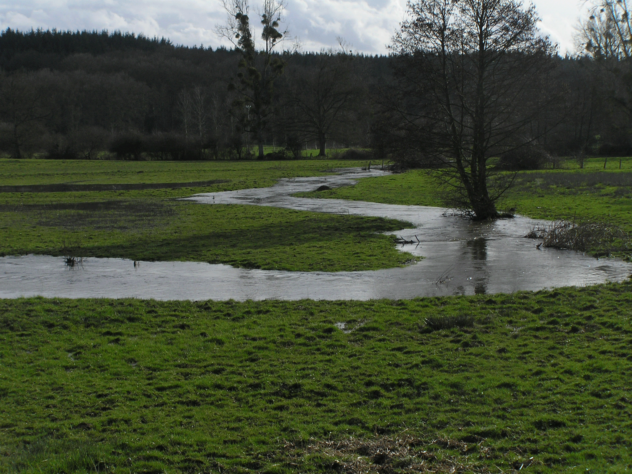 rivgourbe-st-patrice