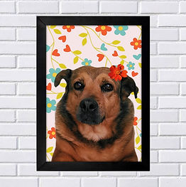 Quadro pet personalizado Focinhos Artes