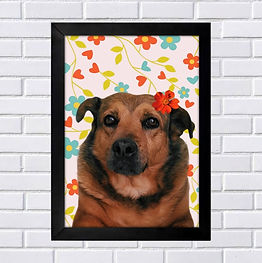 Quadro pet personalizado Focinhos Artes