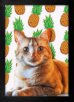 Quadro pet personalizado Focinhos Artes