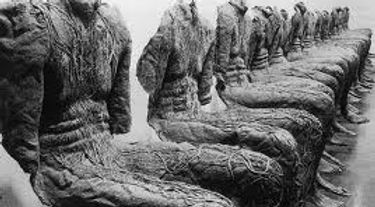 Abakanovitz copy.jpeg