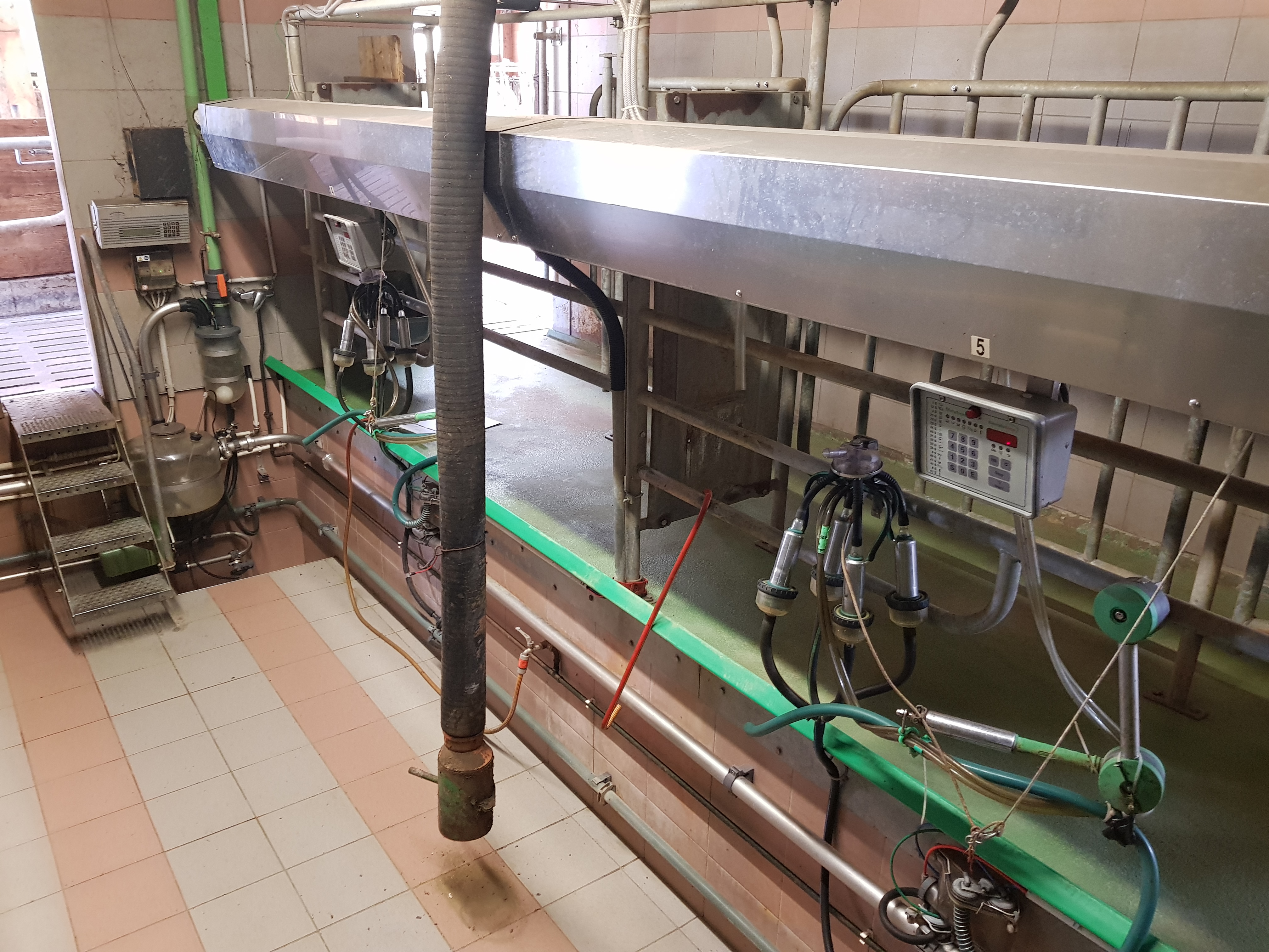 GEA Tandem Melkstand BJ. 2004