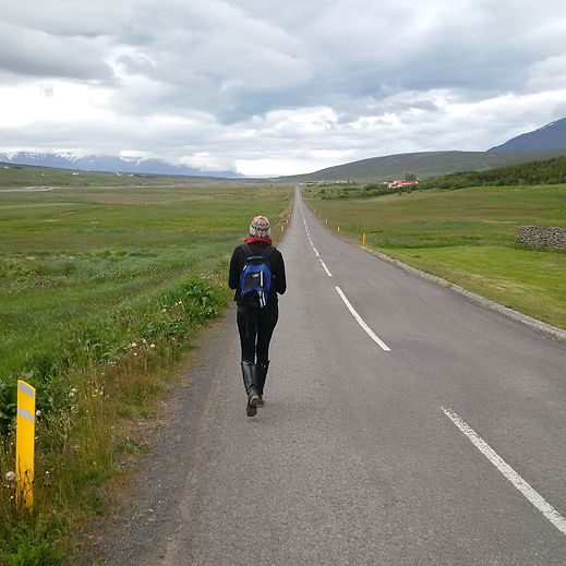 walkinginiceland.jpg