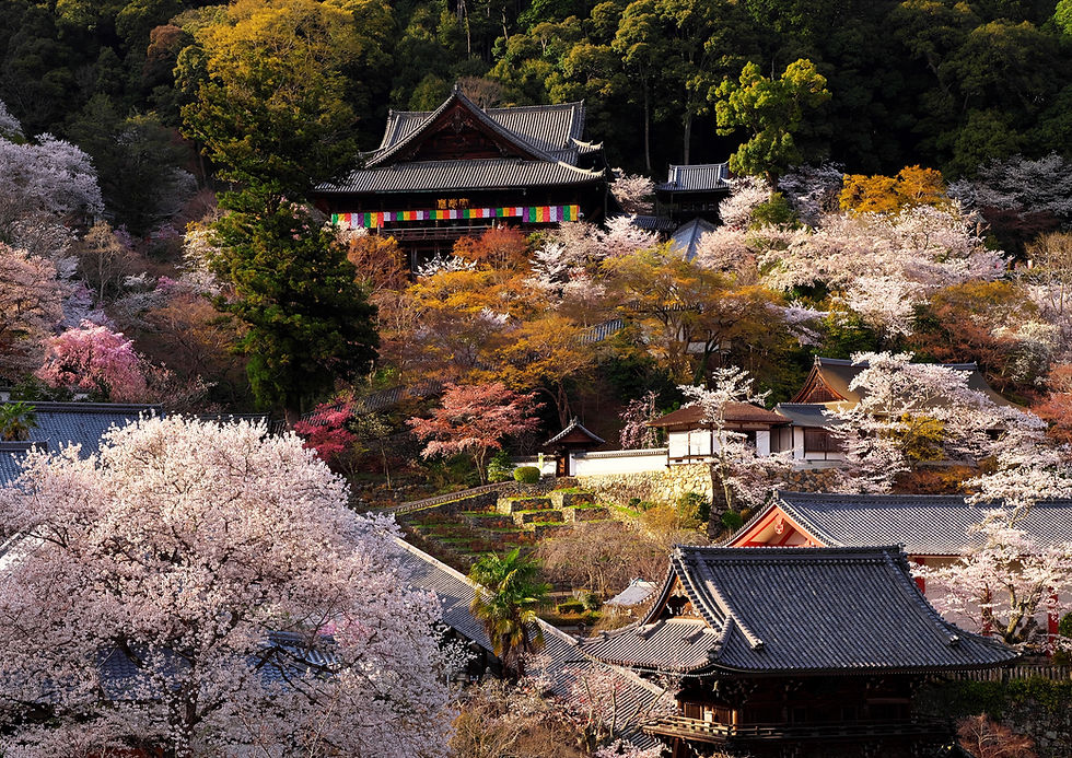 長谷寺