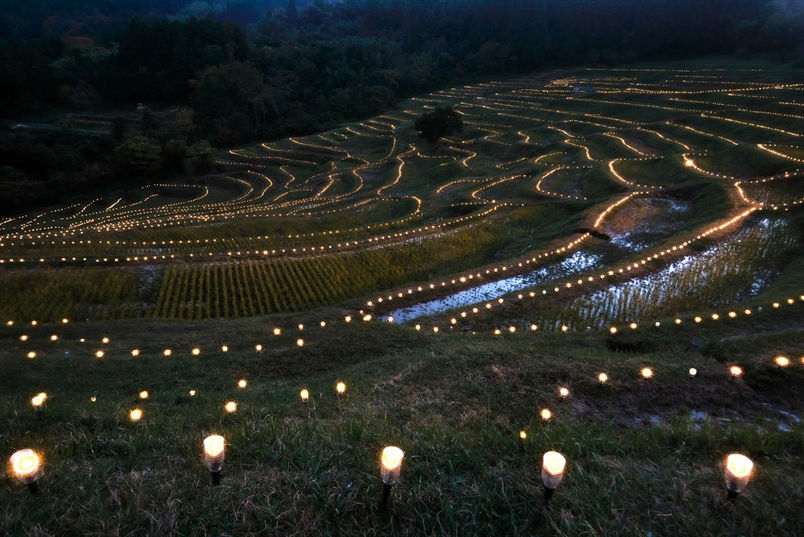 大山千枚田　棚田の明かり