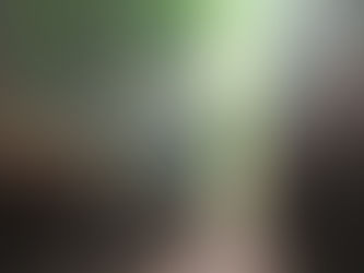 嵐山 竹林の小径