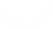 Veer logo wit-01.png