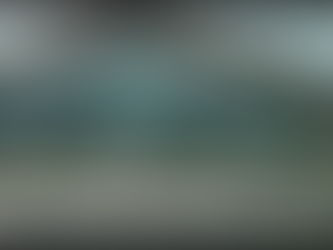 Spruce Goose Museum: Group Fly