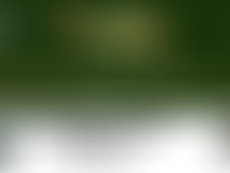 Learning A New Airplane Series