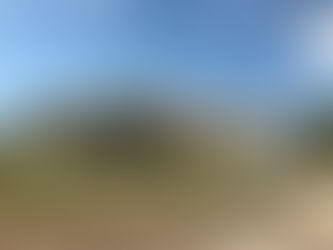 Naples, Marco Island Real Estate Market Performed Well in 2016 Per Annual Reports