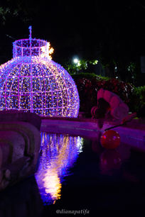 DSC00261-2.jpg