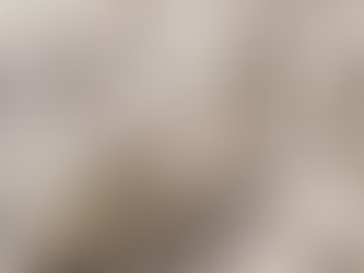 Dólar em 2026: o que está movimentando o câmbio e por que as projeções divergem