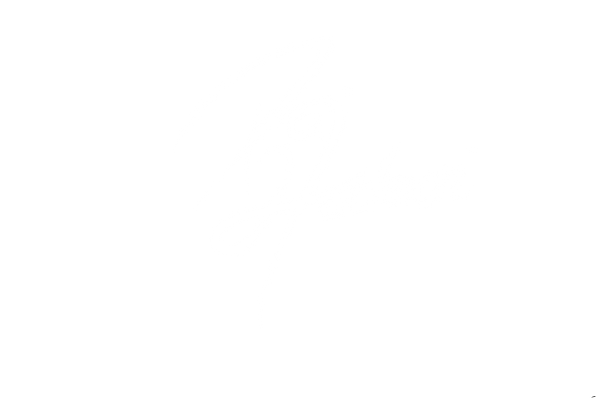 Finalized Logo 2021 (WHITE).png