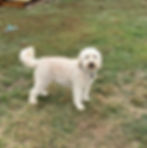 Ellie Mae