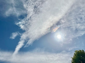 æ¥é±æ«ãéã®ã¯ã³ãã¹ã第3åïŒã·ã£ã³ãã©èå 39 åä»äž