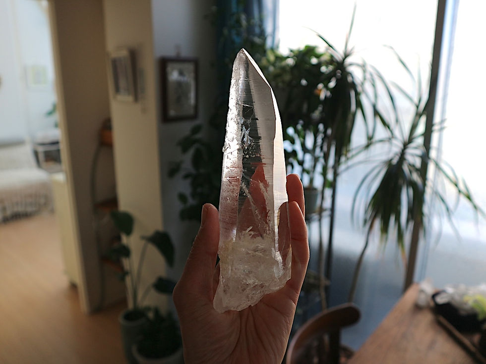 コロンビアレムリアン