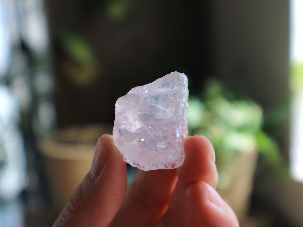 ピンクメタモルフォーゼ