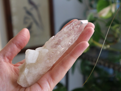 energized 「ラジエルのホワイトマジック」ライトニング（雷）レイザー