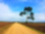 Landscape-fotor-2023102311422.jpg