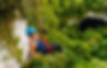 black-hole-dropmariposajunglelodge.jpeg