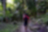 Jungle (4)-fotor-2023102395525.jpg
