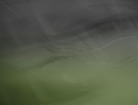 Fundo-verde-universo-bossa-website.jpg