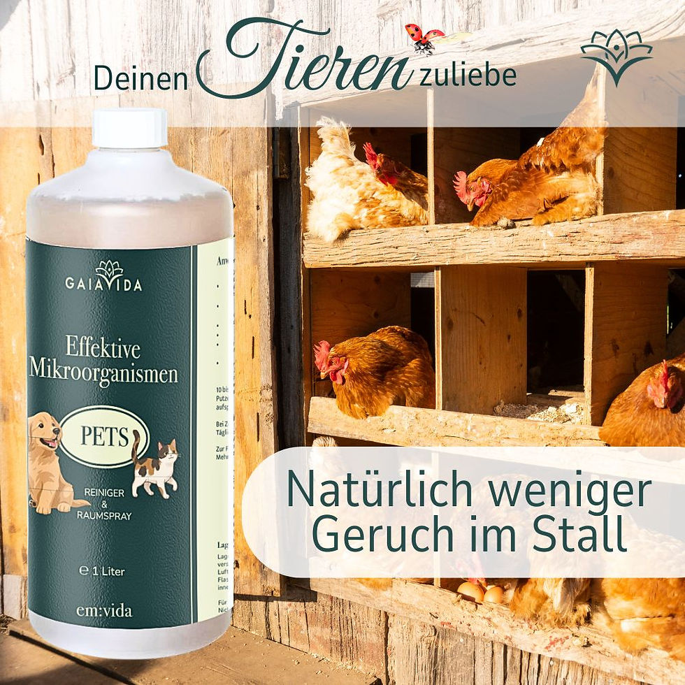 Miniaturbild: em:vida Pets - für Tiere