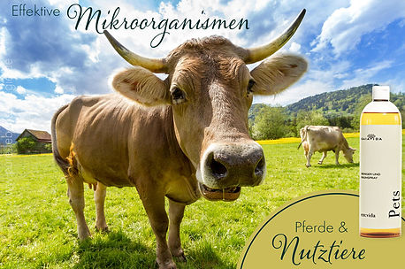 effektive-mikroorganismen-em-pets-nutztiere2-gaiavida-x.jpg