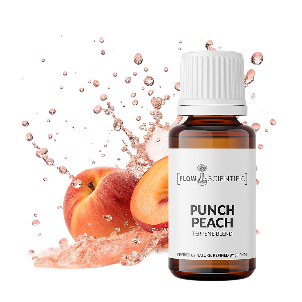 FloSci_PunchPeach_Stylized-2.png