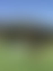 제 13 편 "프리 샷 루틴."