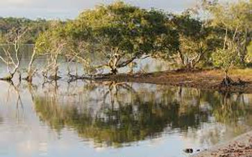 south moreton islands.jpg