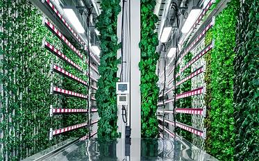 modular-farms-product-header.webp