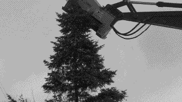 tumblr_n80yfvRNYx1qk0vz9o1_400 (1).gif