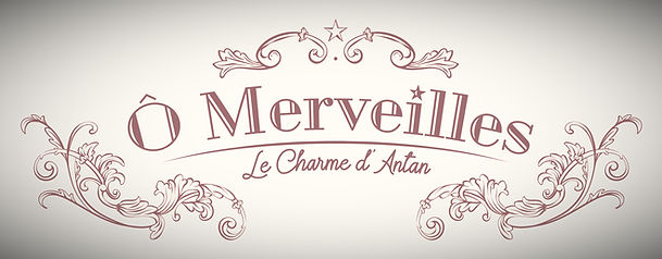 LOGO-OMERVEILLES-CMJN_edited.jpg