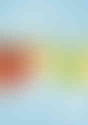 tomato family washi tape