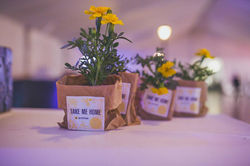 יודפת ונועם- חתונה באווירת חג פורים