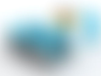 Capacitación técnica