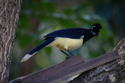 dia 08 - Estância Mimosa (21)