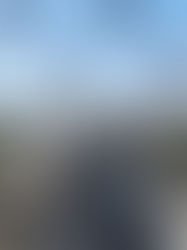 Are You In or Are You Out