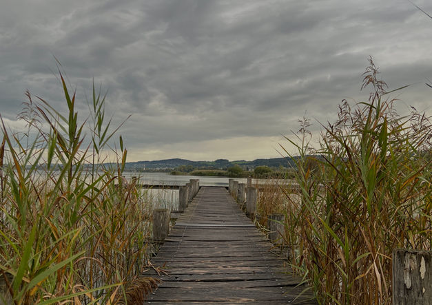 Was tätest du, wenn dir nur noch ein Jahr zum leben bleiben würde?