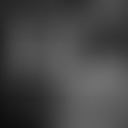 Purpose. Vision, Mission. What's the point?