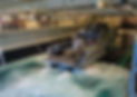 6240-01-655-7354 In shipboard welldeck