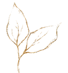 Zwei Blätter als Websitedesign