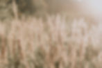 _MSP0759-82.jpg