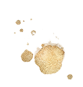 Farbklekse als Websitedesign