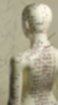 acupuncture model.jpg