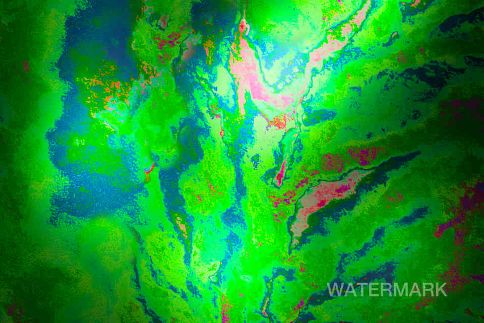 Funky Watermelon.jpg