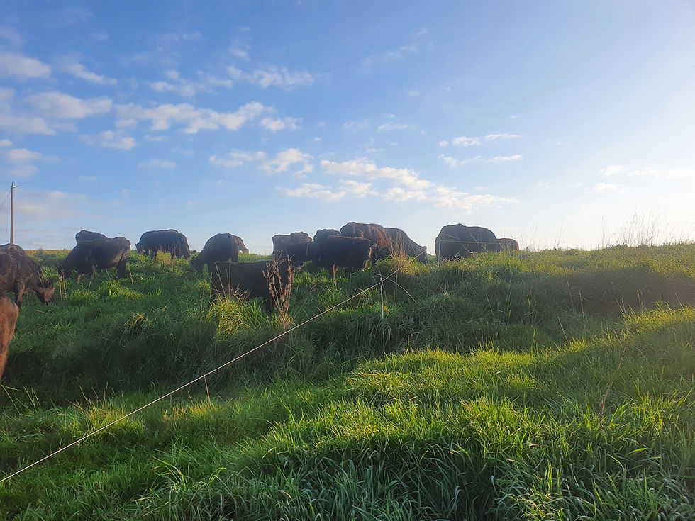 Glendalough Farm Tour 2025