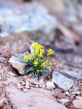 Year End Note from Jenni